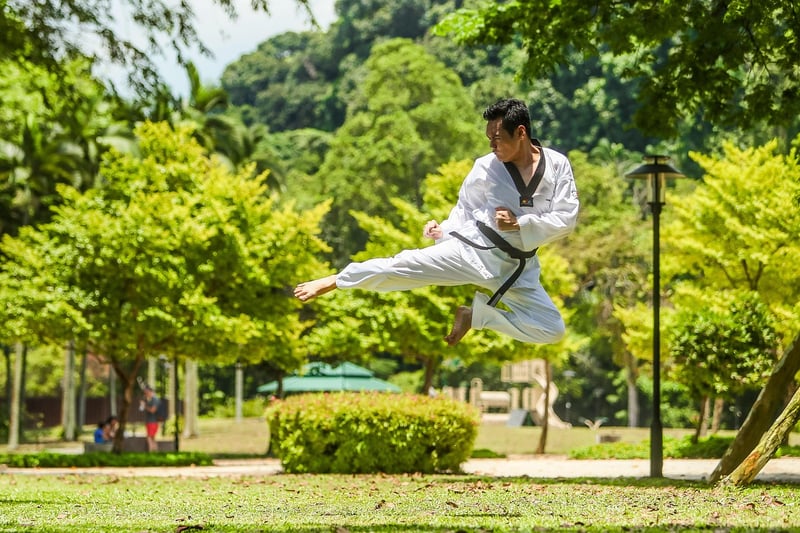 Yang Style Martial Arts